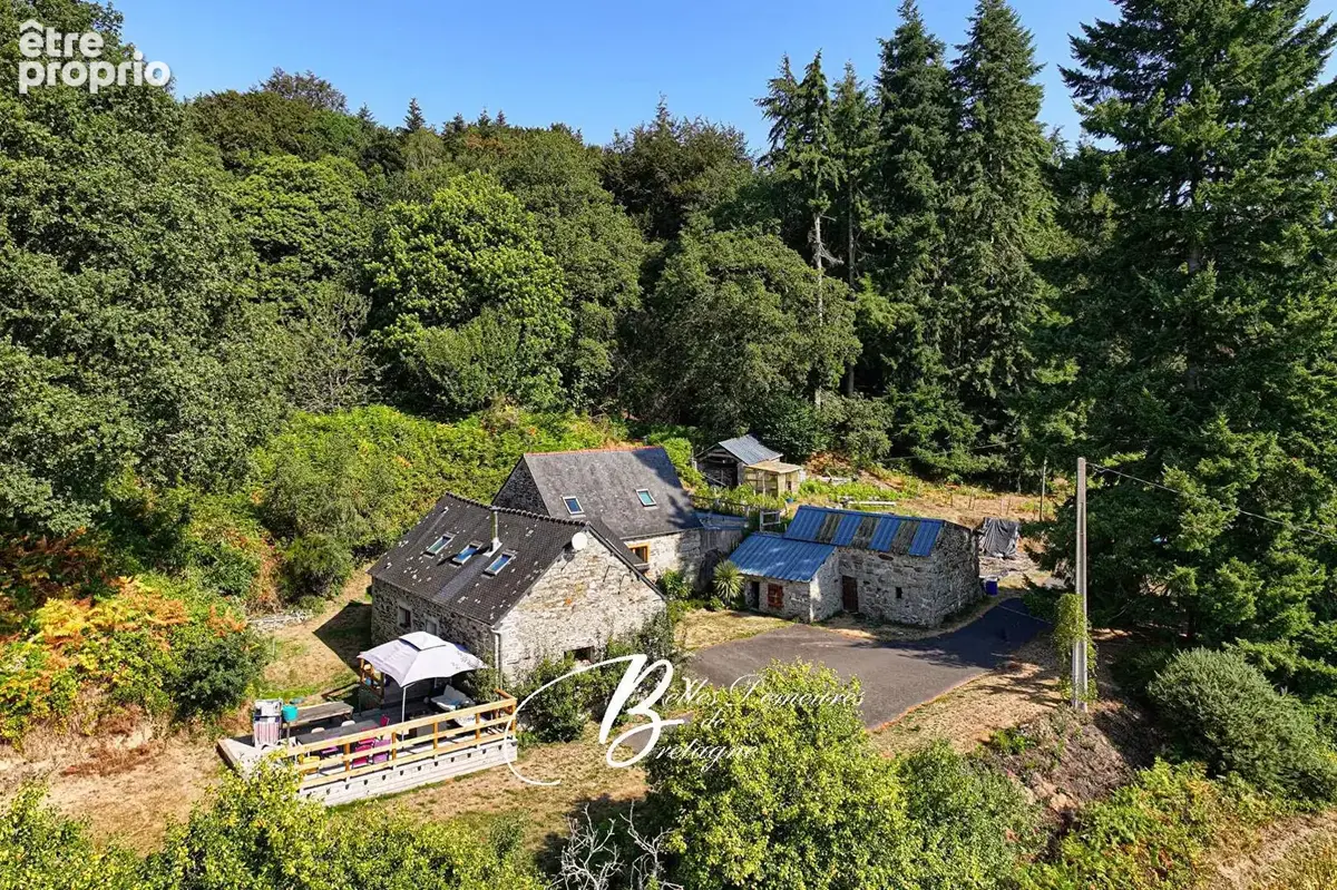 A vendre jolie propriété en pierre au coeur d'un espace naturel de près de 3 hectares - photo 4