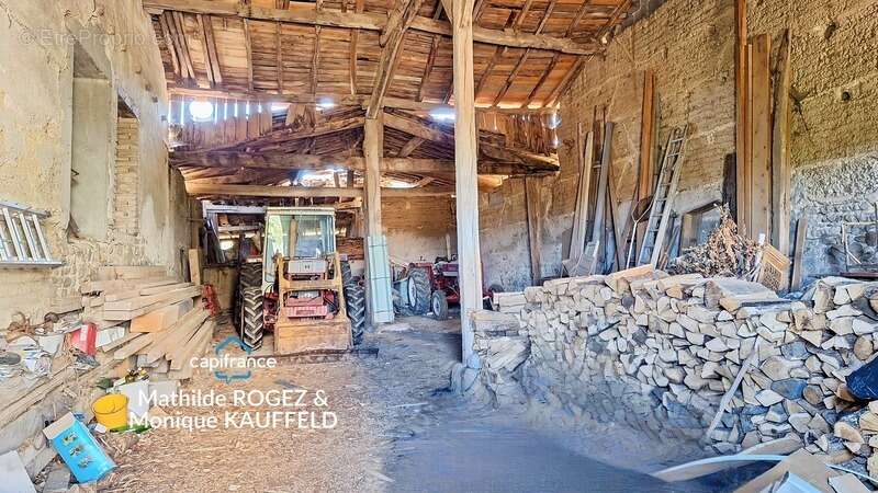 Domaine de caractère sur 45 hectares avec étang - Courpière - photo 43