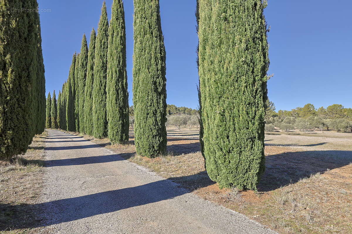 Maison à MOISSAC-BELLEVUE