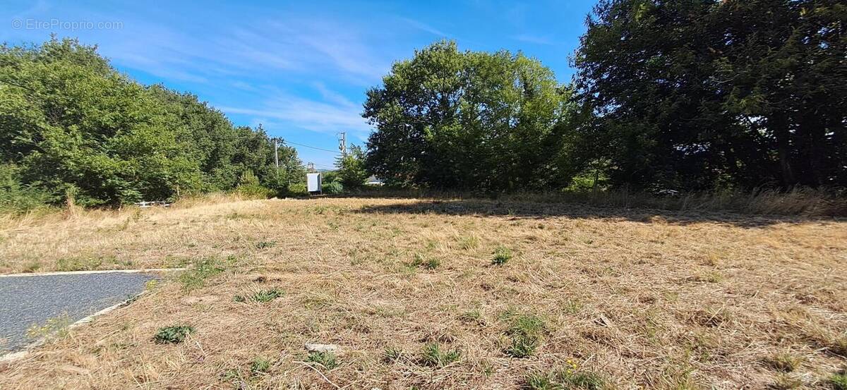 Photo 1 - Terrain à LABRUGUIERE