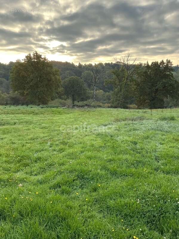 Terrain à CUSSET