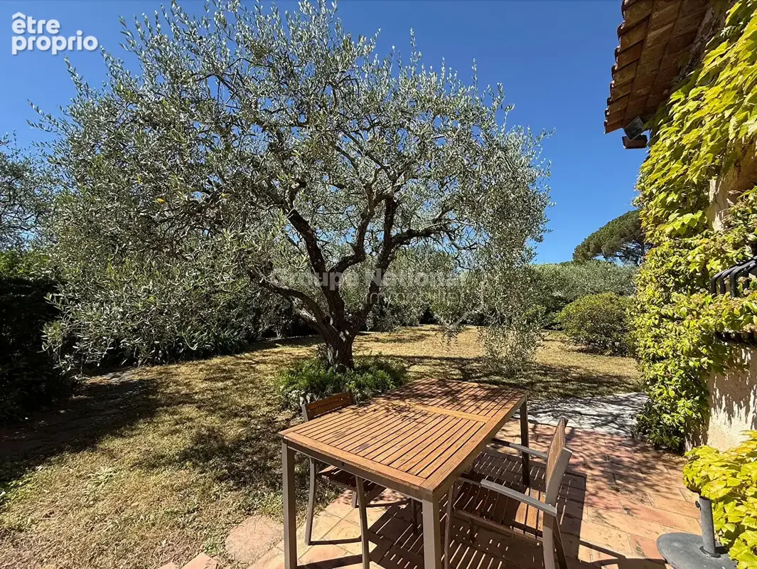 GRASSE SUD /  Maison individuelle 5 P/ 150 m²/ Oliveraie / Piscine - photo 9