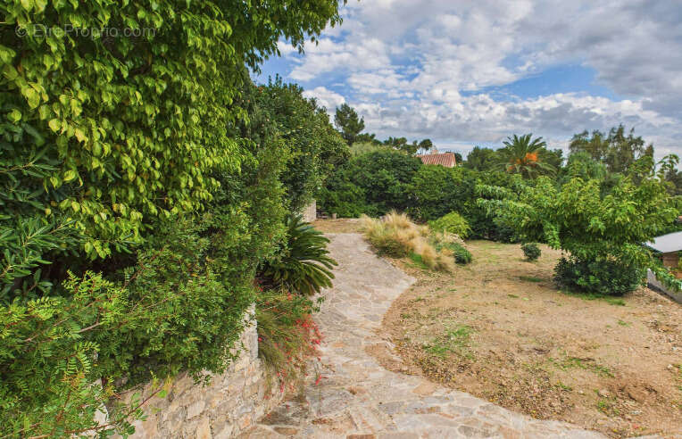 Terrain à LE LAVANDOU