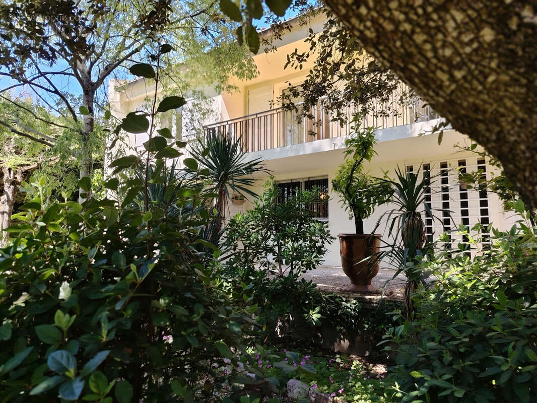 Maison à CASTELNAU-LE-LEZ