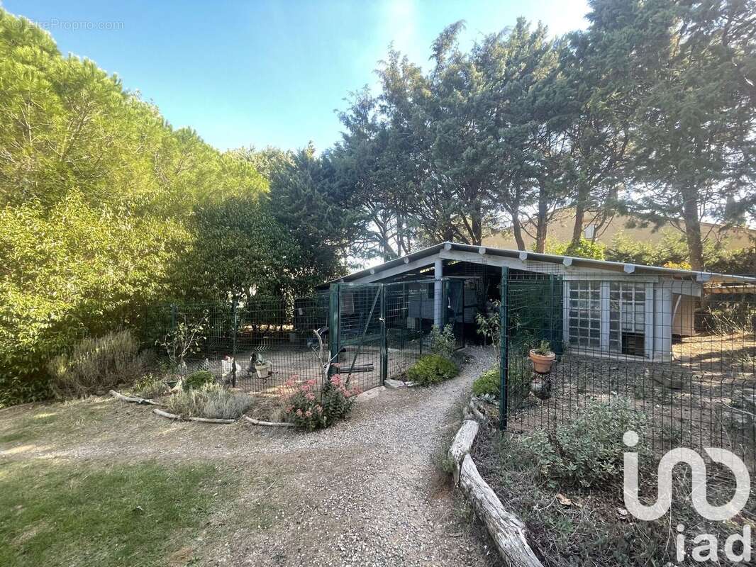 Photo 8 - Maison à VILLENEUVE-MINERVOIS