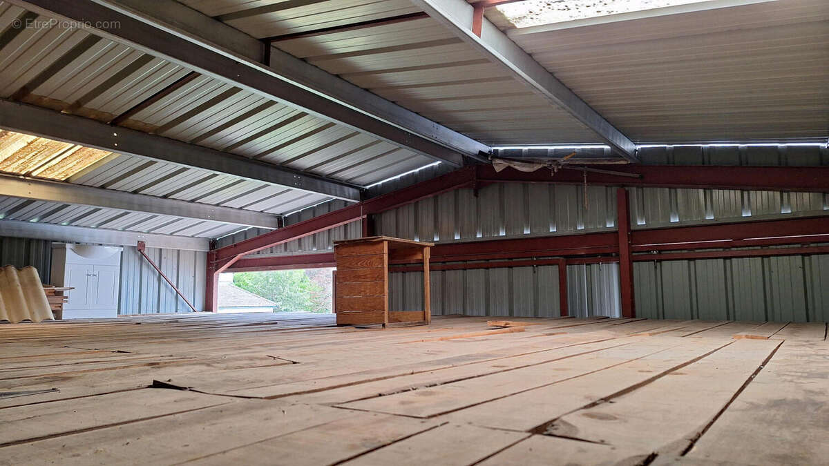 20250902_145431 - Maison à PIEGUT-PLUVIERS