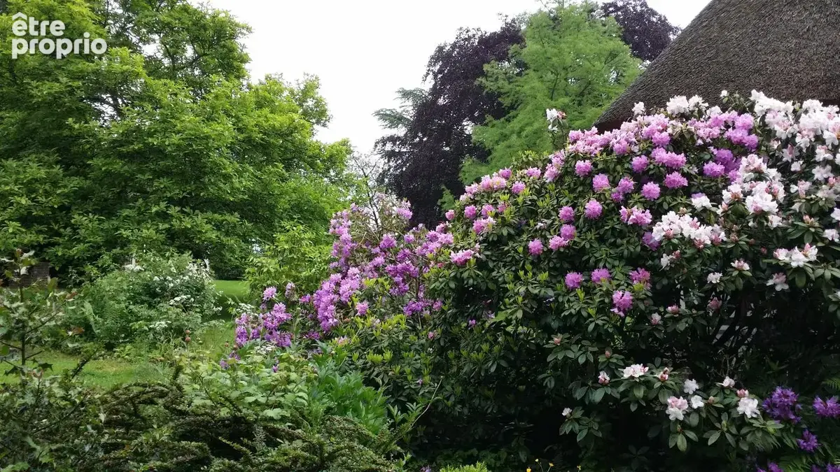 Ensemble de 3 gites normand dans un endroit magnifique - photo 15