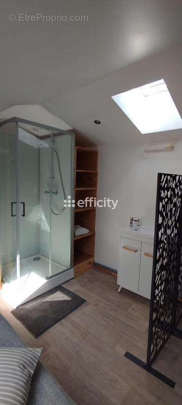 Maison 250 m² à Usson-En-Forez  - photo 23