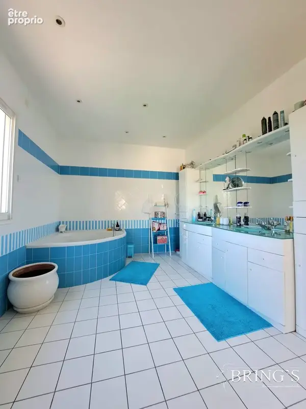 Maison 7 pièces 340 m² à vendre à Moissac (82200) - photo 8