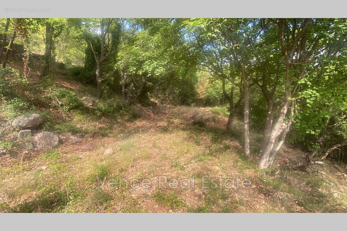 Terrain 5092 m² à Tourrettes-Sur-Loup  - photo 3
