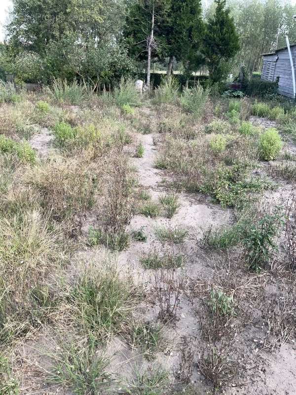 Maison à AIRON-SAINT-VAAST