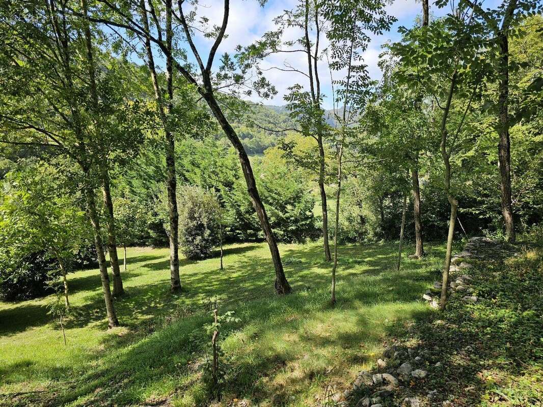 Propriété avec dépendances et parc paysagé - photo 17