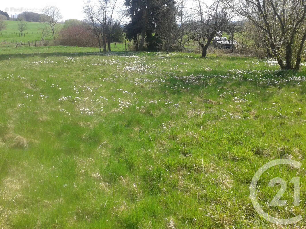 Maison à CHARMOIS-DEVANT-BRUYERES