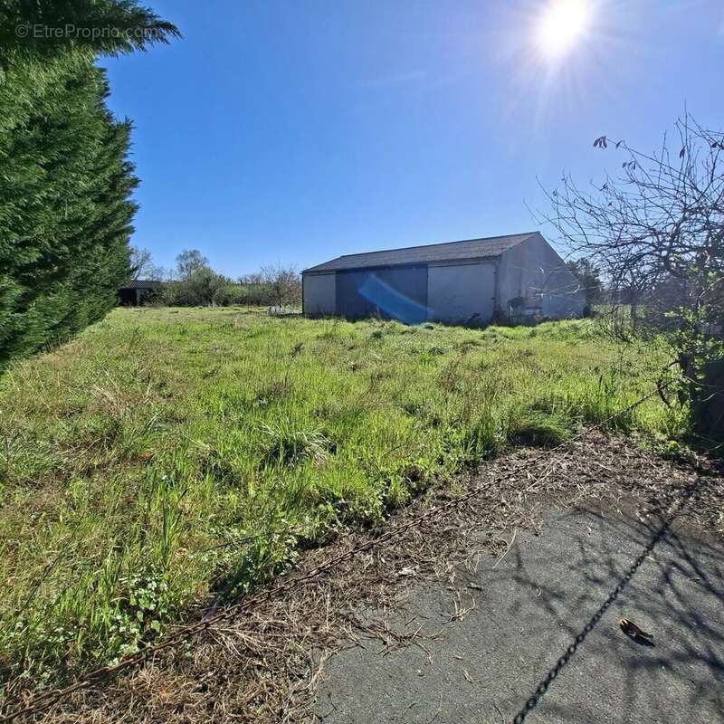 Commerce à MONTDRAGON