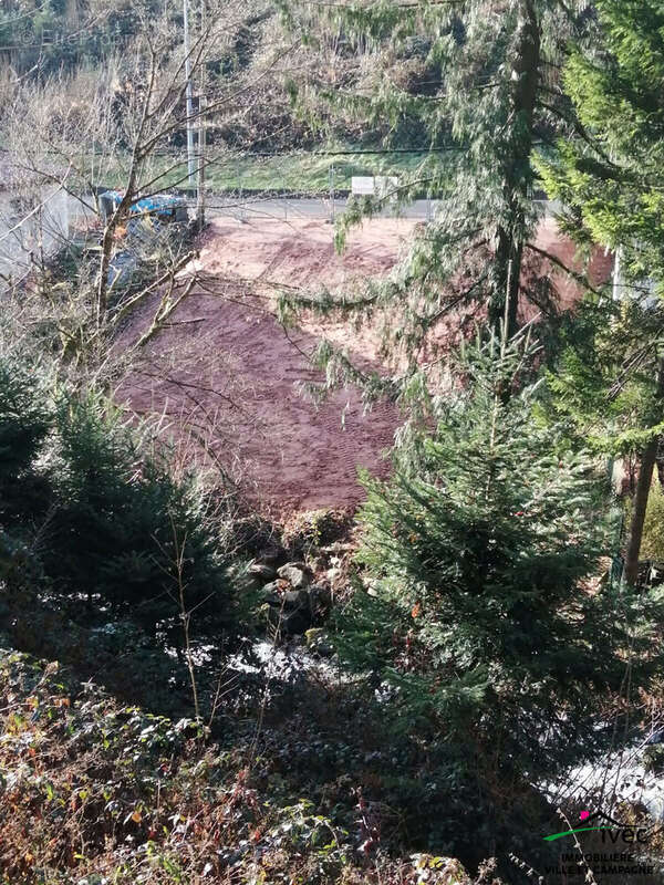 Terrain à LE HOHWALD