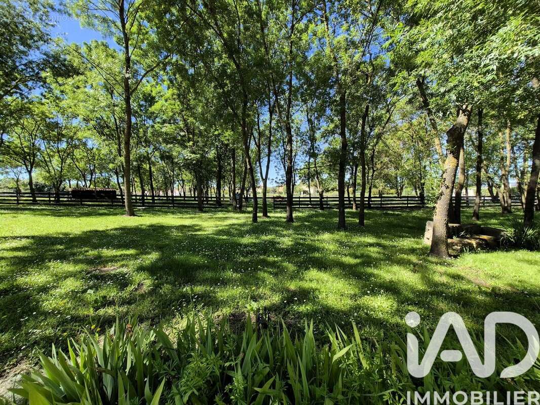 Photo 4 - Maison à FABREGUES