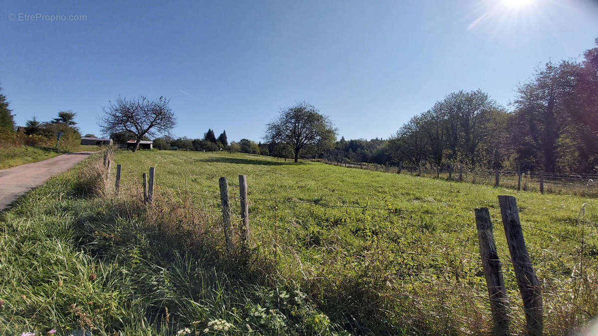 20200930_111228 - Terrain à AUGIGNAC