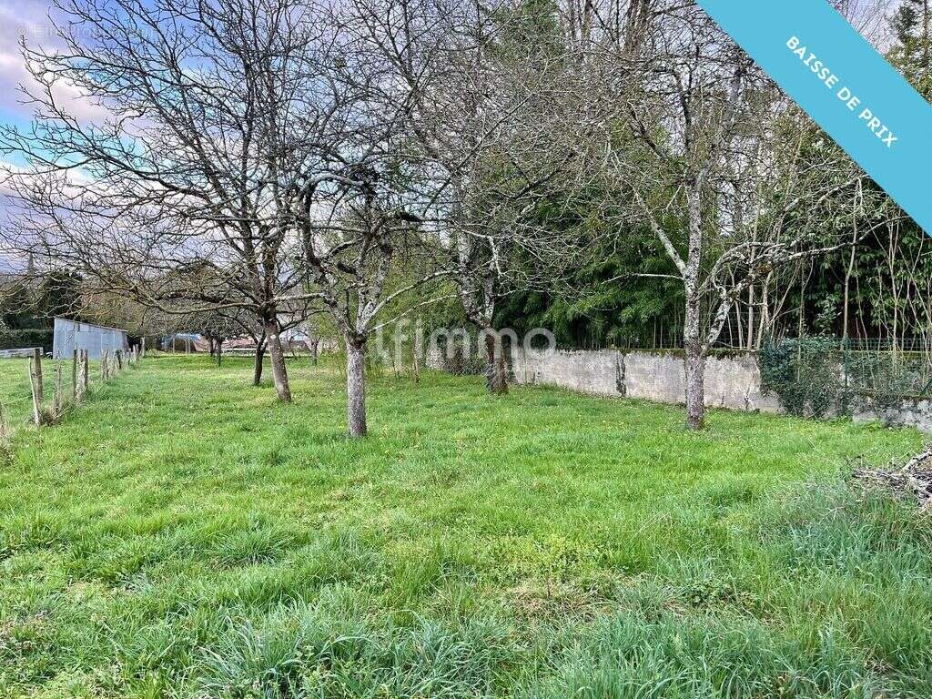 Maison avec terrain, garage et dépendance à Mazères-de-Neste - photo 10