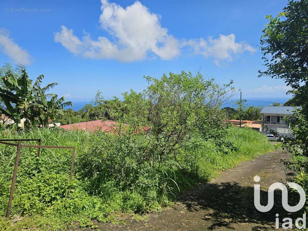 Photo 4 - Terrain à L'AJOUPA-BOUILLON