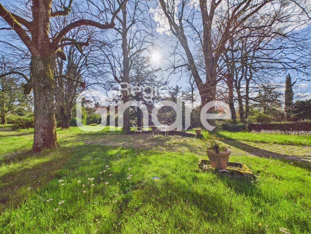 Appartement à TASSIN-LA-DEMI-LUNE