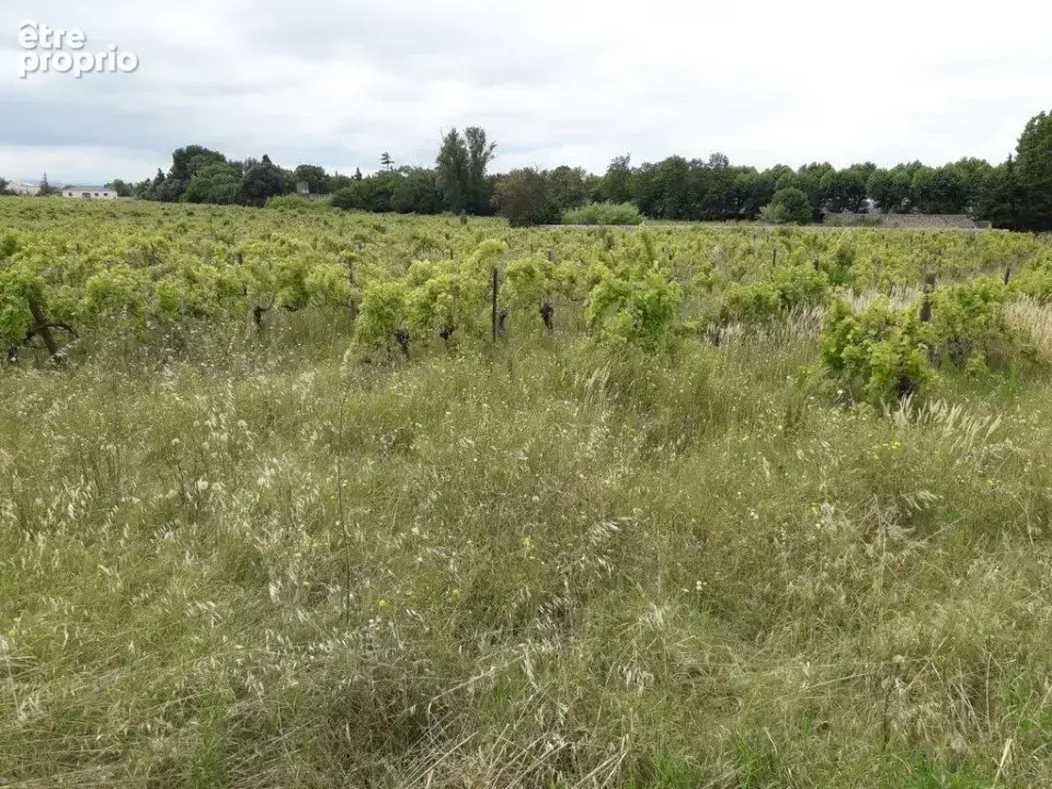 Terrain 547 m² à Bizanet  - photo 2
