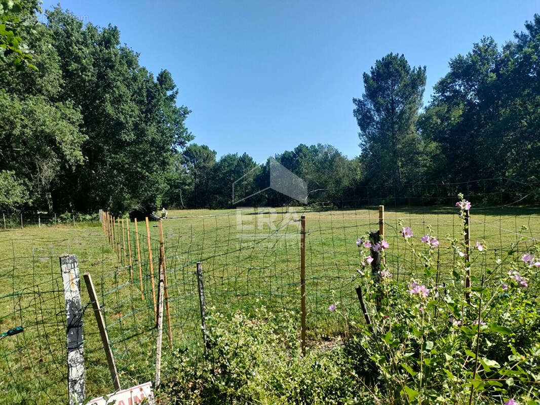 Maison 3 pièces à vendre à Saint Savin - Terrain de 18 785 m² - photo 4