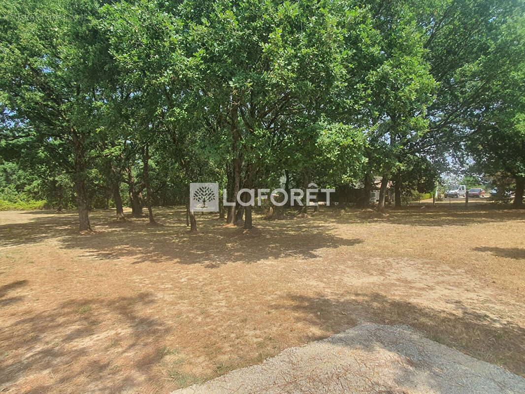 Terrain arboré,de 2458 m² au calme, Villematier - photo 2