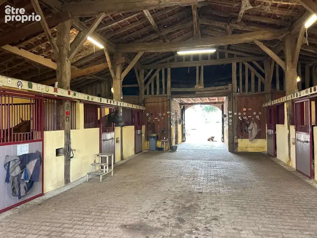 Propriete équestre et son château, à vendre 14 pièces LE TEMPLE SUR LOT (47) - photo 28