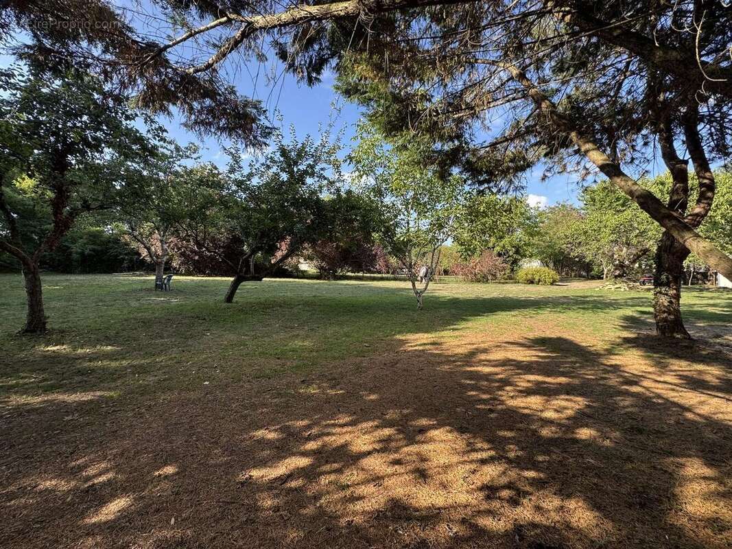 Maison à LA CELLE-CONDE