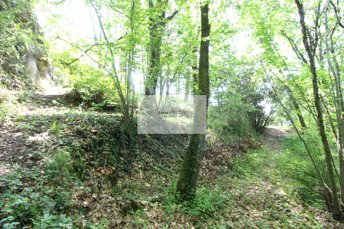 Terrain à SAINT-AFFRIQUE