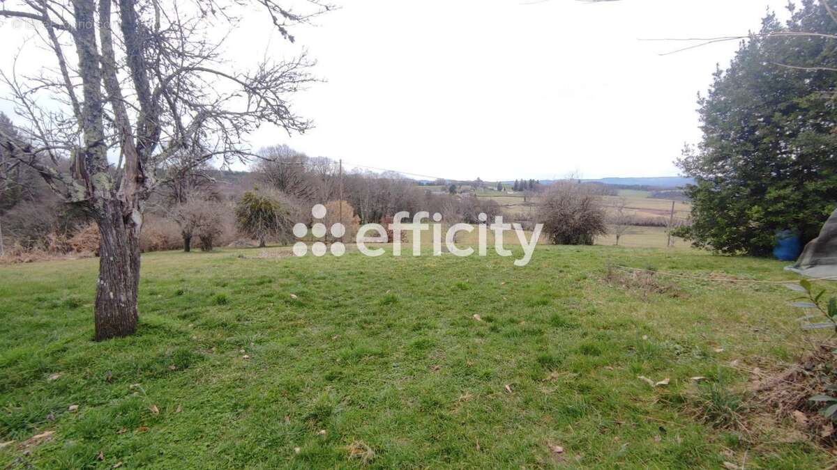 Maison 185 m² à Rilhac-Treignac  - photo 15