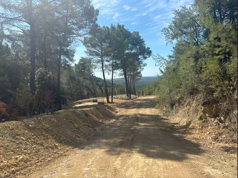 Figanières – terrain agricole et forestier de plus de 9 hectares - photo 2