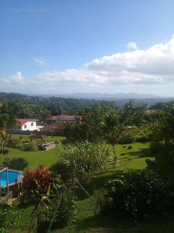 Photo 2 - Terrain à GROS-MORNE