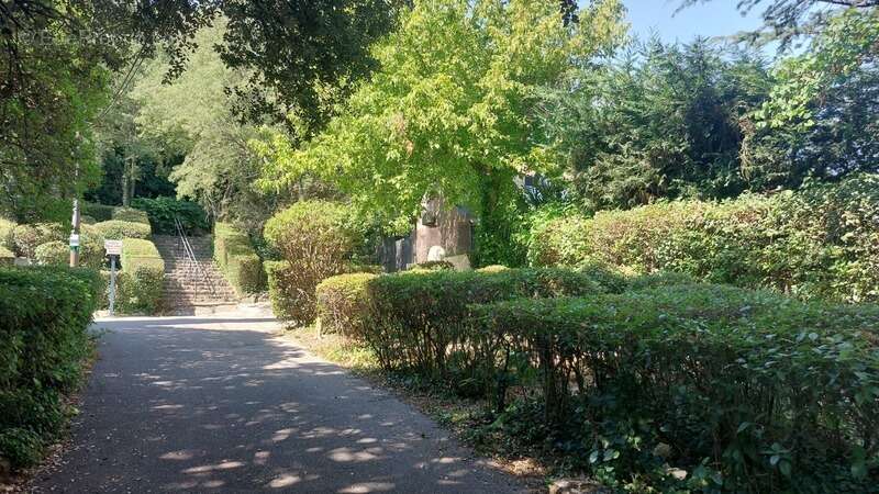 Maison avec studio indépendant et piscine – Cadre exceptionnel – Villeneuve-lès-Avignon - photo 4