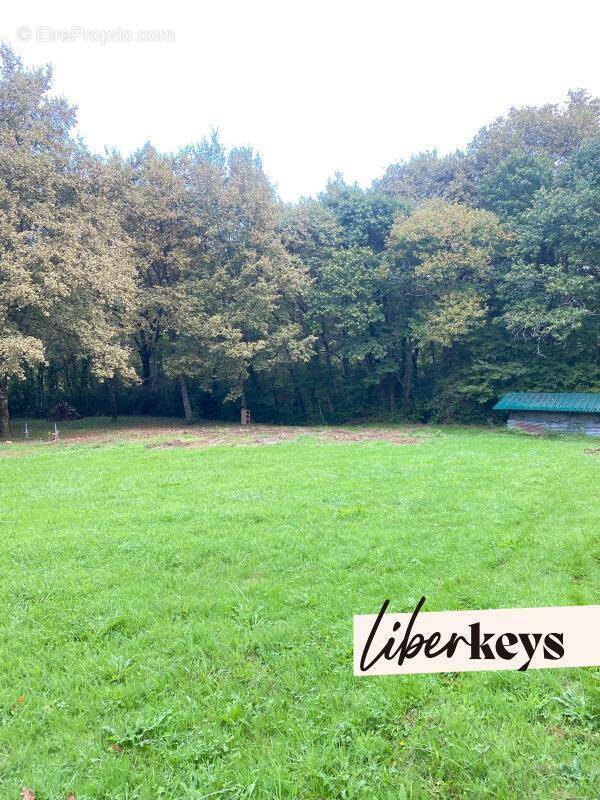 Terrain à SAINTE-COLOMBE