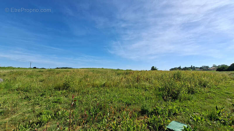Terrain à BIDACHE