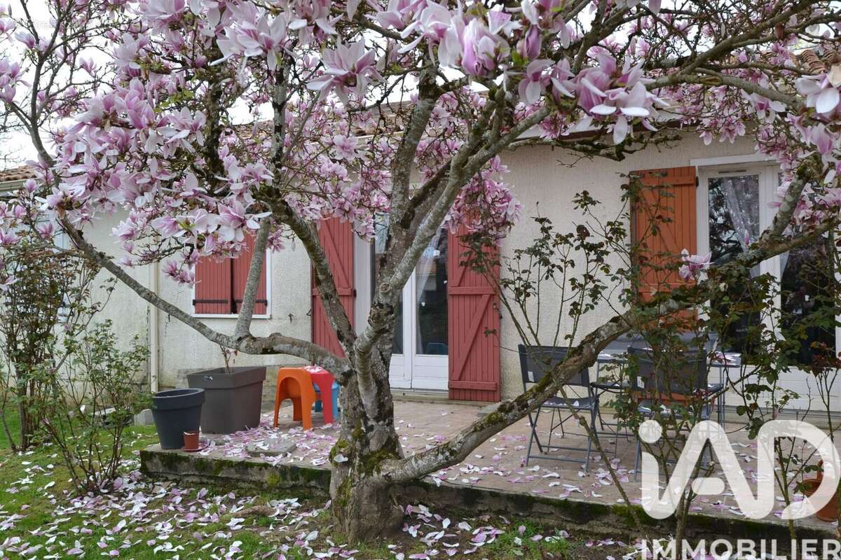 Photo 2 - Maison à MESNAC