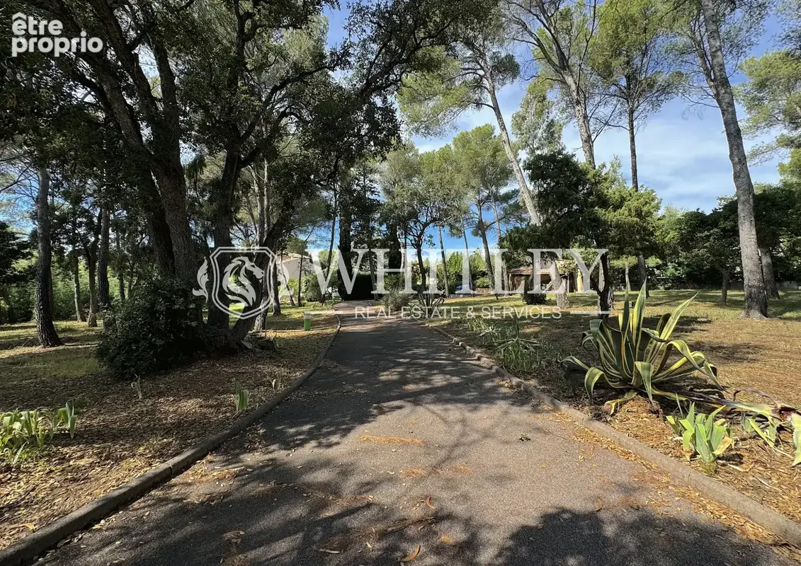 Villa rare à la vente avec grand terrain de plus de 5000 m2 et piscine - photo 12