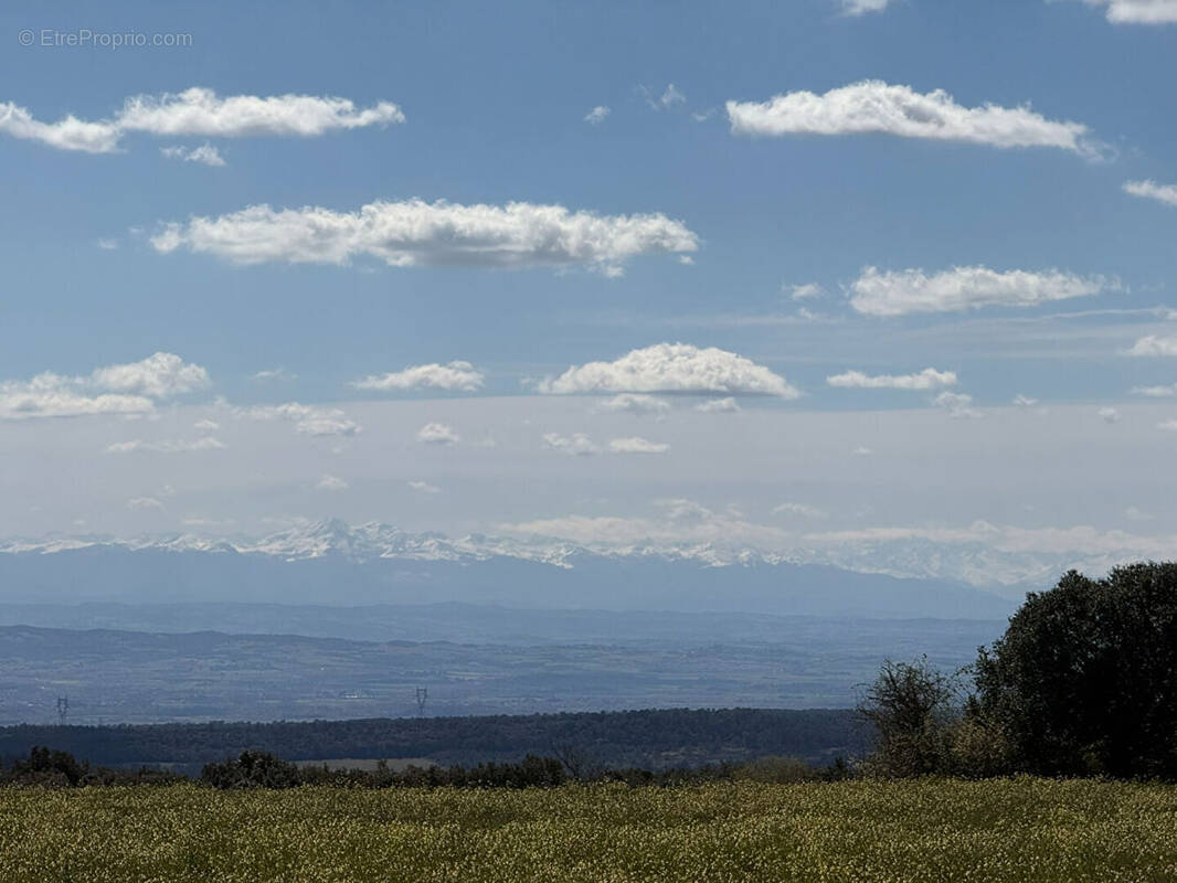 Terrain à VILLANIERE