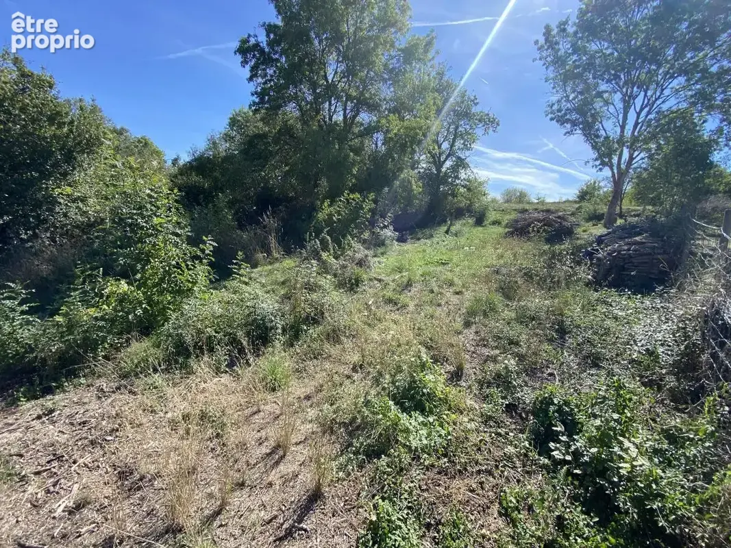 Terrain 552 m² à vendre à Monnieres (44690) - photo 3