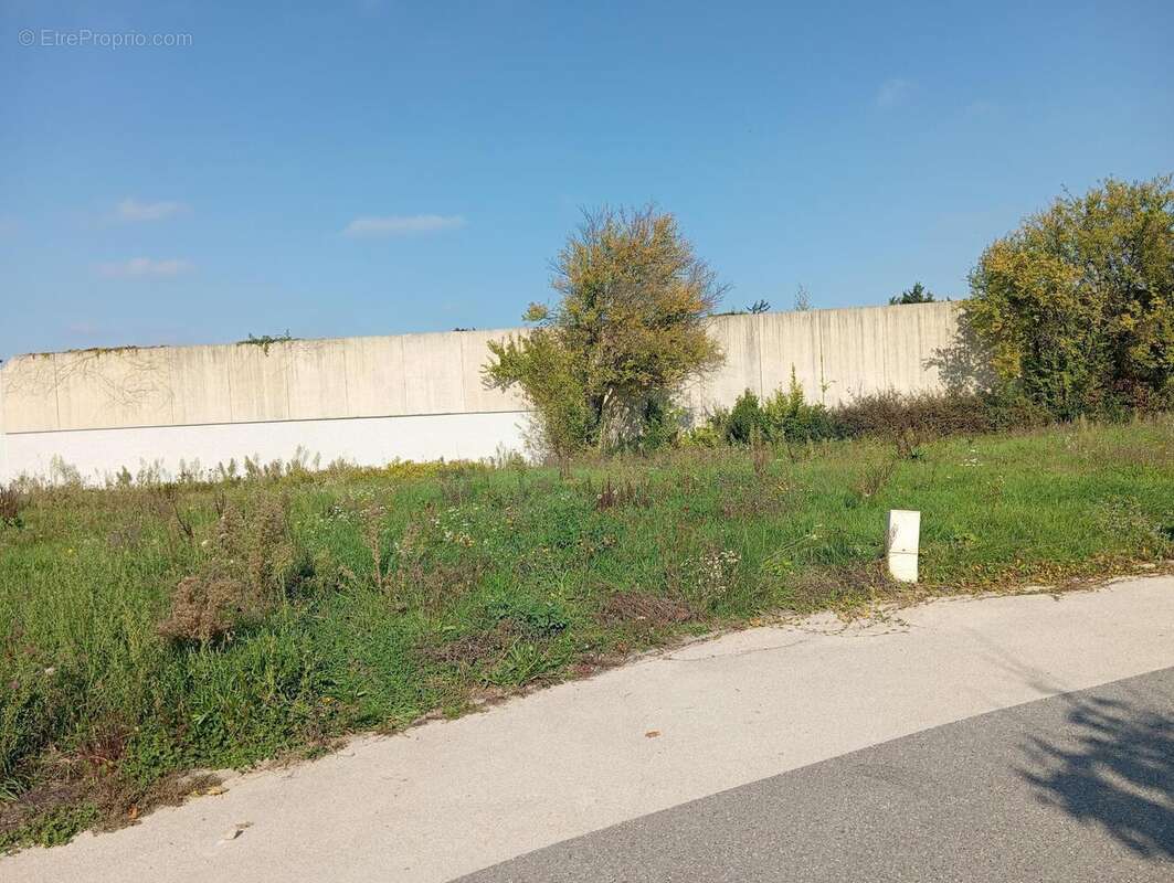 Photo 3 - Terrain à CORBAS