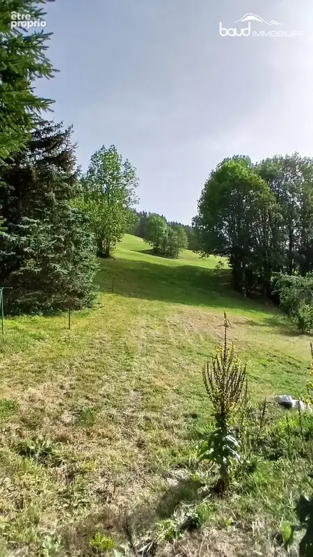 Terrain 1 522 m² à vendre à Villard-De-Lans (38250) - photo 6