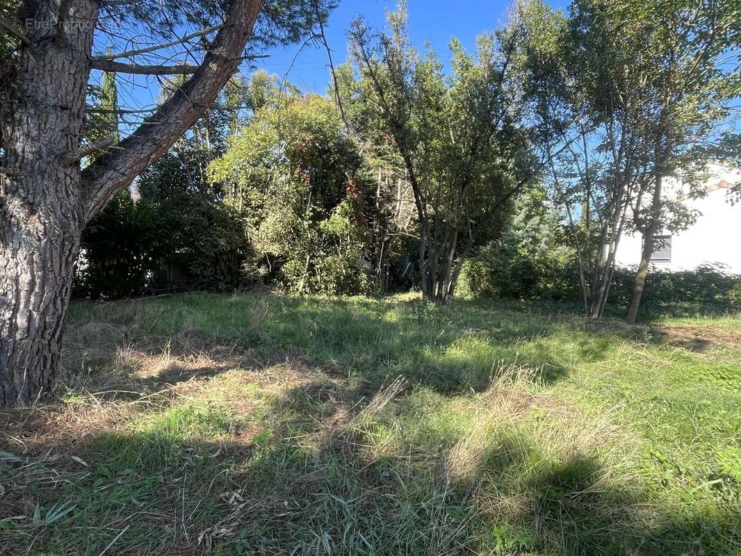 Terrain à PLAISANCE-DU-TOUCH