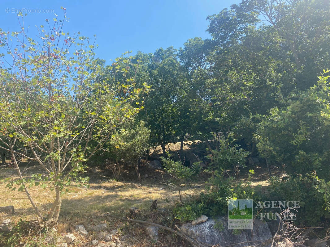 Terrain à SAINT-VALLIER-DE-THIEY