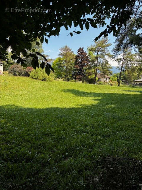 Terrain à BRIE-ET-ANGONNES