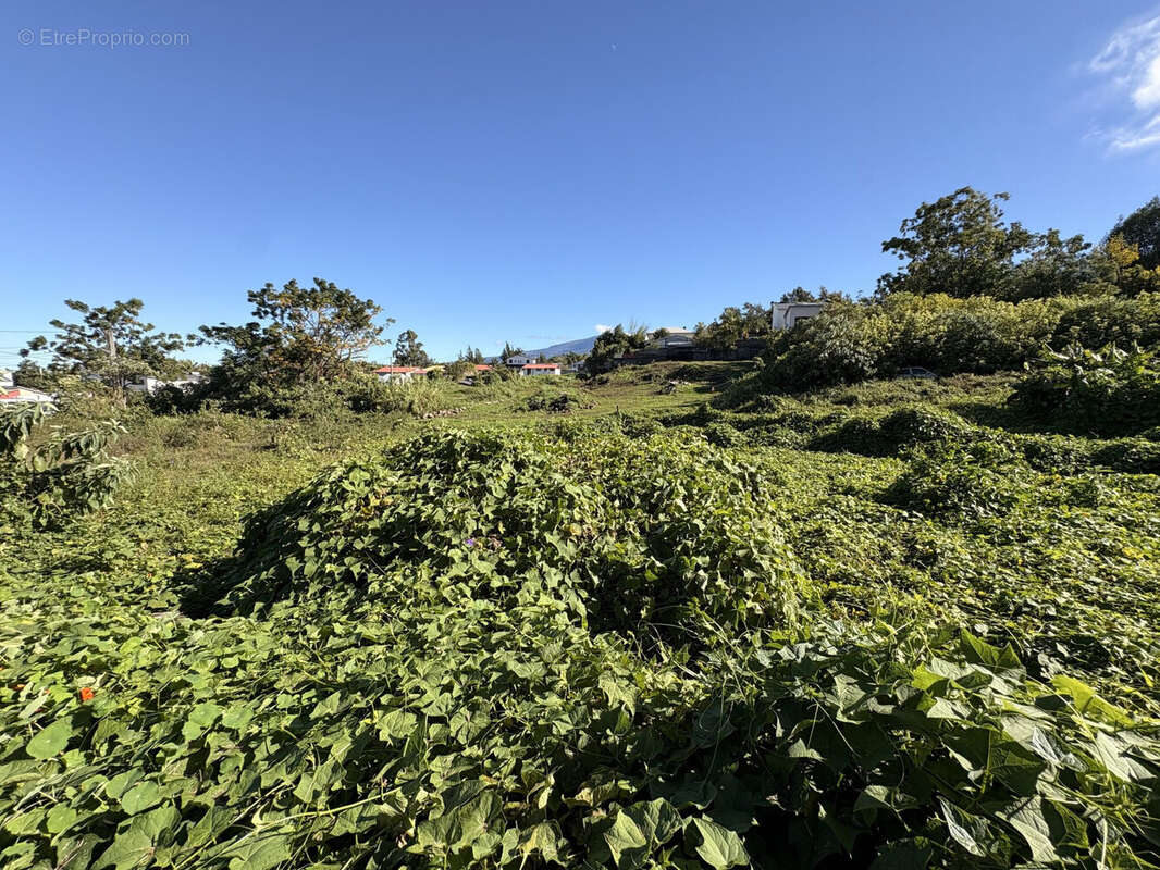 Terrain 380 m² à Le Tampon  - photo 6