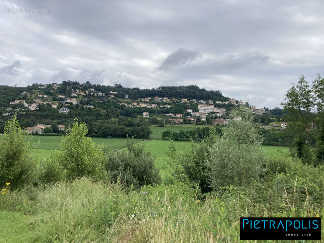 Terrain 3560 m² à Saint-Genest-Lerpt  - photo 2