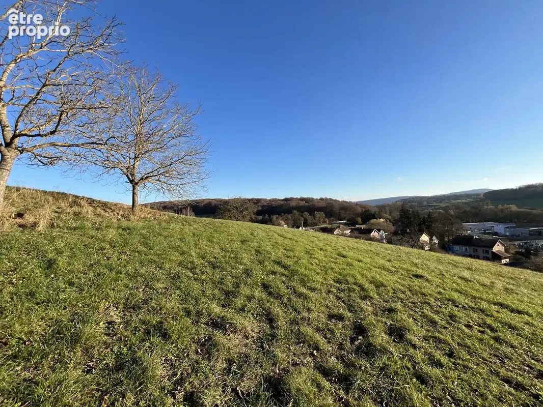 Waldighoffen, magnifique terrain sur les hauteurs - photo 4