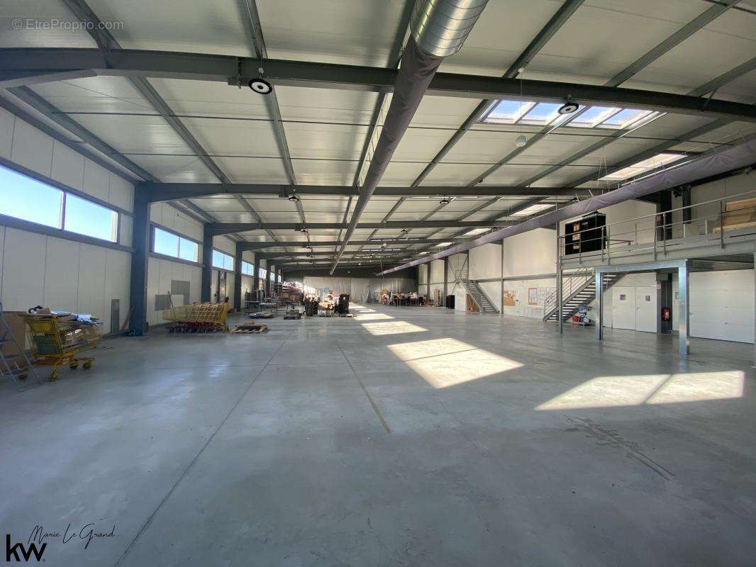 Locaux/Biens immobiliers - photo 7