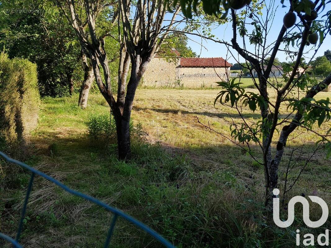 Photo 1 - Terrain à CHAZELLES